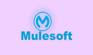 Mulesoft Online Training