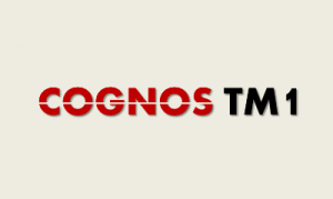 Cognos TM1 Online Training